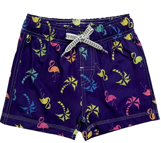 Youth Boys Ombre Flamingo Swim Trunk
