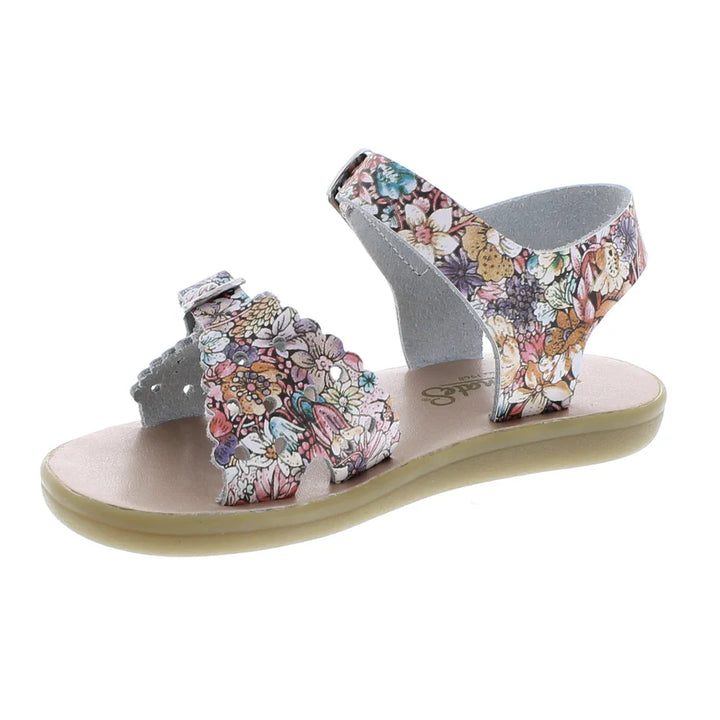 Ariel Floral