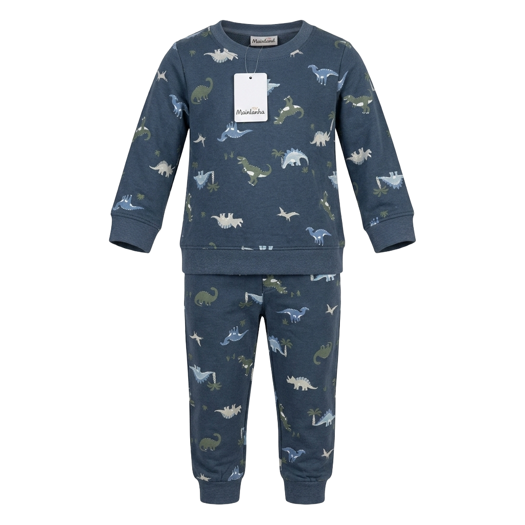 Dino Print Jogger Set