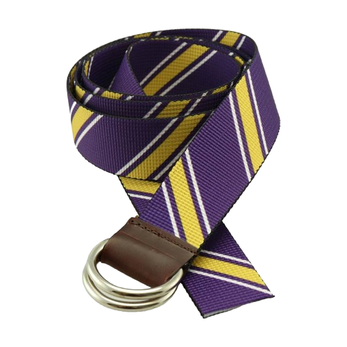 D Ring Belt - Purple and Gold*