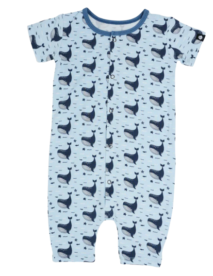 Shortie - Whale