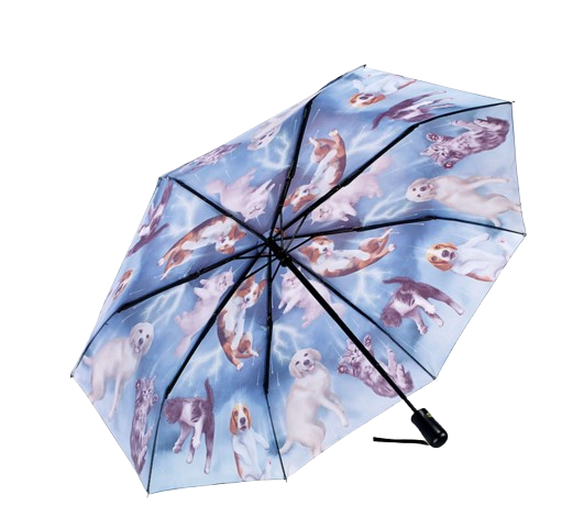 Cats and Dogs - Folding Umbrella
