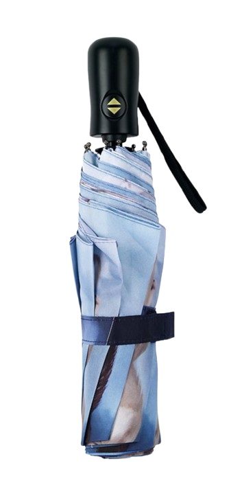 Cats and Dogs - Folding Umbrella