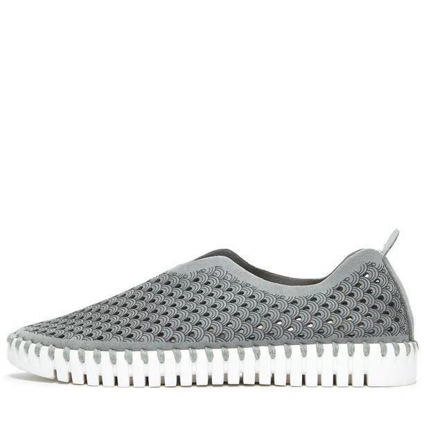 Tulip 139 Grey