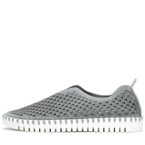 Tulip 139 Grey