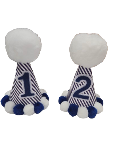 Navy Stripe Party Hat