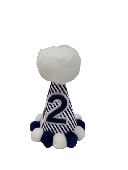 Navy Stripe Party Hat