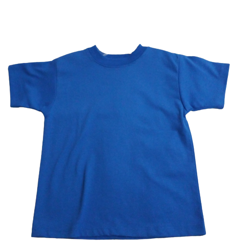 Boys Tee Royal Blue S/S