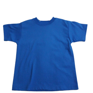 Boys Tee Royal Blue S/S