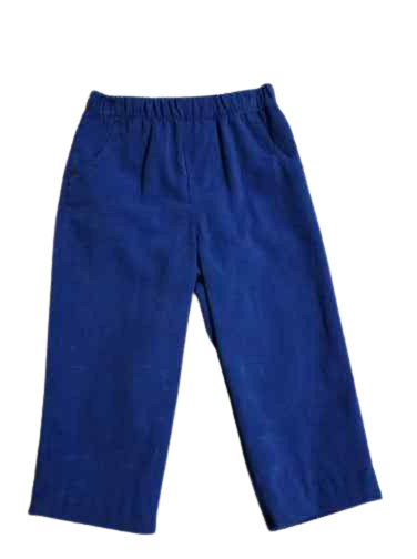 Boys Pants Corduroy Royal