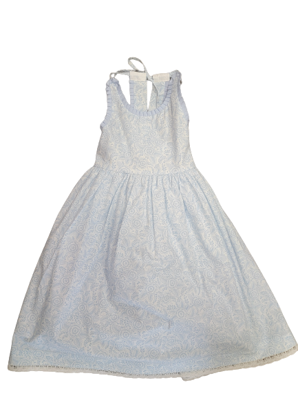 Blue Toile Knife Pleat Dress