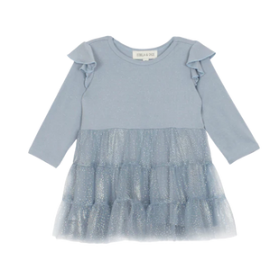 Ice Princess Knit & Mesh Little Girl Dress