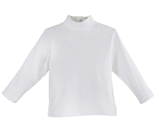 Organic Cotton Knit Turtleneck Shirt